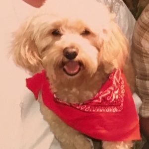 Meet your Posher, Joanne